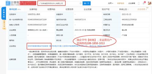 新材料技術(shù)推廣服務(wù) 連接創(chuàng)新與應(yīng)用的橋梁